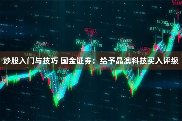 炒股入门与技巧 国金证券：给予晶澳科技买入评级