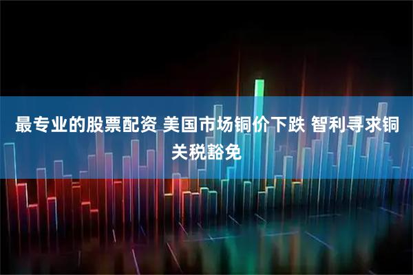 最专业的股票配资 美国市场铜价下跌 智利寻求铜关税豁免