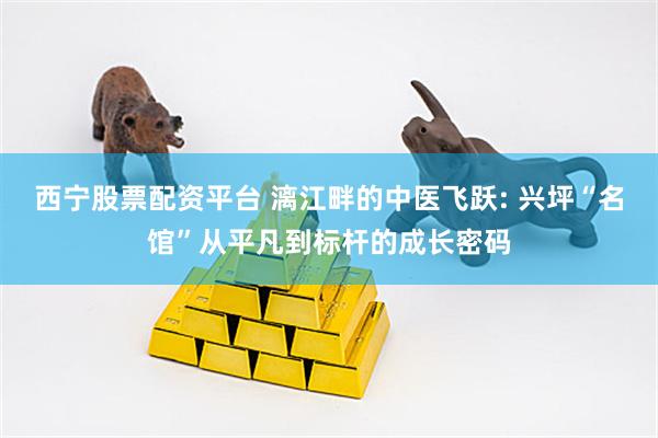 西宁股票配资平台 漓江畔的中医飞跃: 兴坪“名馆”从平凡到标杆的成长密码